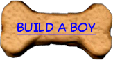Build a Boy